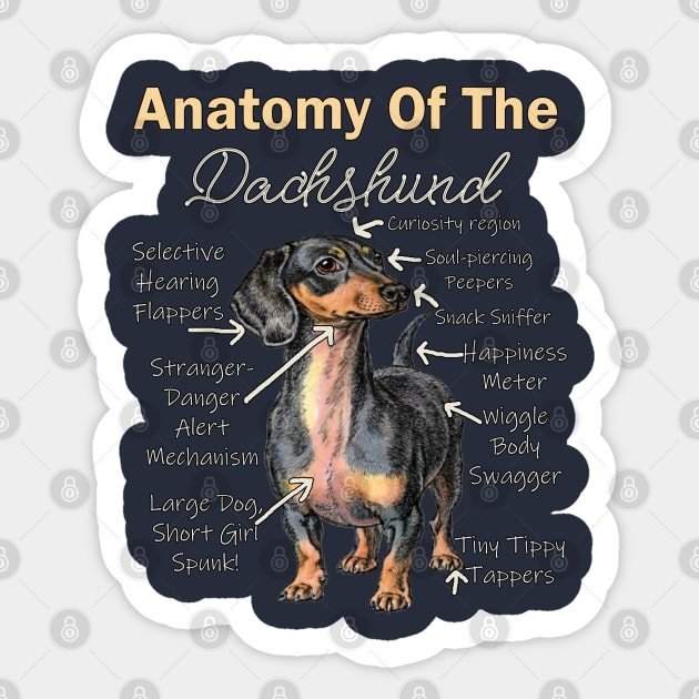 Dachshund Funny Anatomy Doxie Lover Sticker by tamdevo1